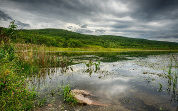 Картинка природа реки озера река лес