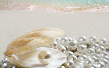 Картинка разное ракушки +кораллы +декоративные+и+spa-камни ракушка жемчуг