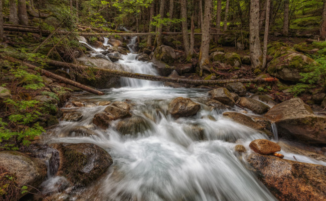 Обои картинки фото природа, реки, озера, река, лес