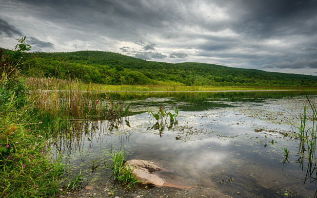 Обои картинки фото природа, реки, озера, река, лес