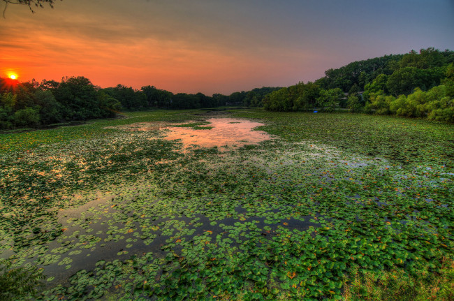 Обои картинки фото природа, реки, озера, река, лес