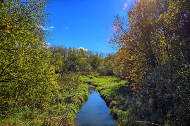 Обои картинки фото природа, реки, озера, река, лес