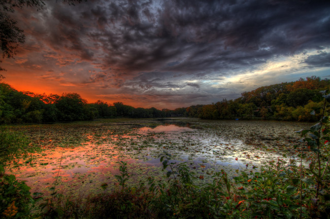 Обои картинки фото природа, реки, озера, река, лес