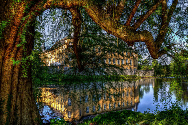 Обои картинки фото природа, реки, озера, лес, река