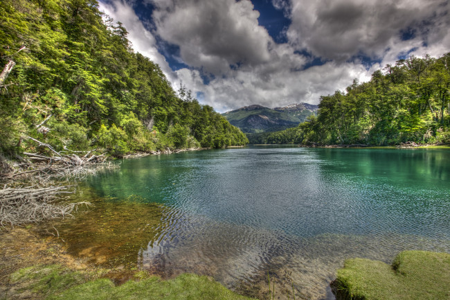 Обои картинки фото природа, реки, озера, река, лес