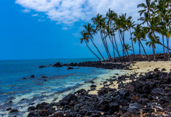 Картинка природа тропики курорт