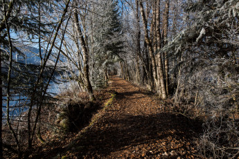 Картинка природа дороги тракт