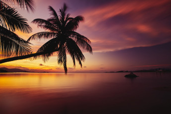 Картинка природа тропики курорт