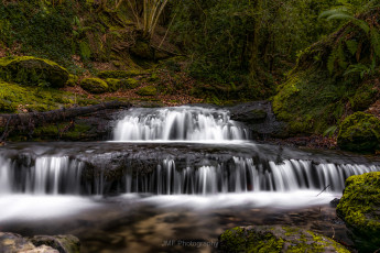 Картинка природа водопады водопад река лес