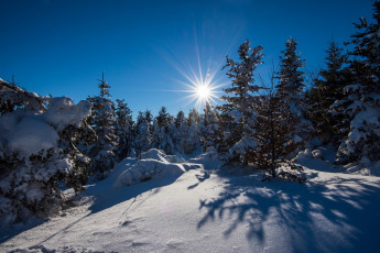 Картинка природа зима снег