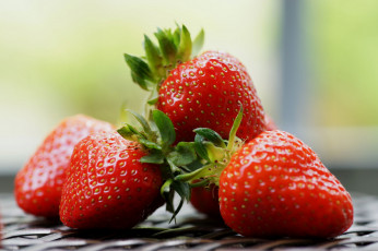 Картинка еда клубника +земляника ягоды
