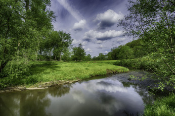 Картинка природа реки озера лес река