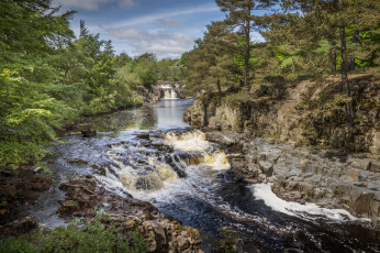 Картинка природа реки озера лес река