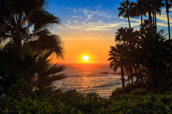 Картинка природа тропики курорт