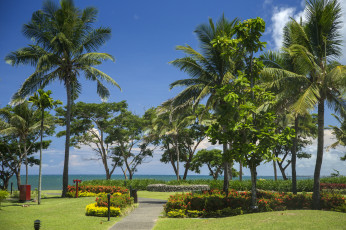 Картинка природа тропики курорт