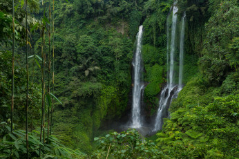 Картинка природа водопады река лес водопад