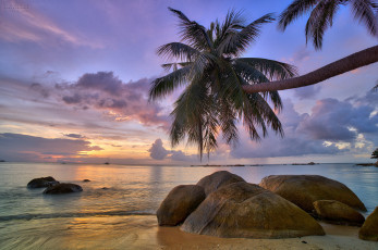 Картинка природа тропики курорт