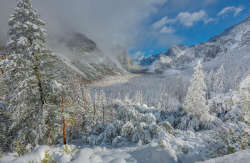 Картинка природа зима снег