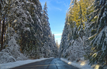 Картинка природа дороги тракт