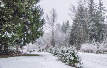 Картинка природа зима снег