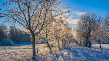 Картинка природа зима тракт