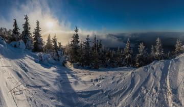 Картинка природа зима снег