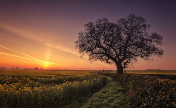 Картинка природа восходы закаты рассвет