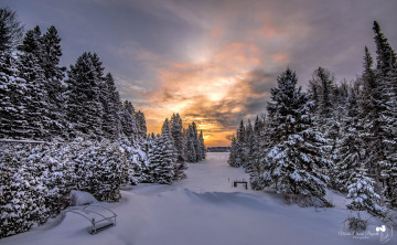 Картинка природа зима снег