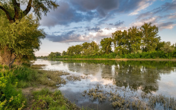 Картинка природа реки озера лес река