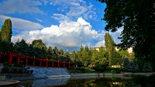 Обои картинки фото природа, парк, водоем, деревья