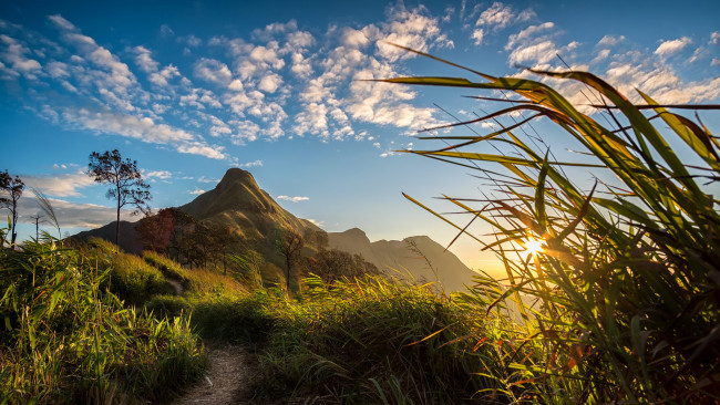 Обои картинки фото природа, восходы, закаты, рассвет