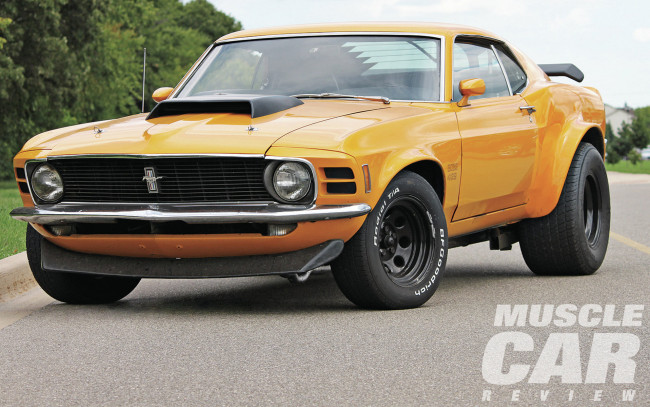 Обои картинки фото автомобили, mustang