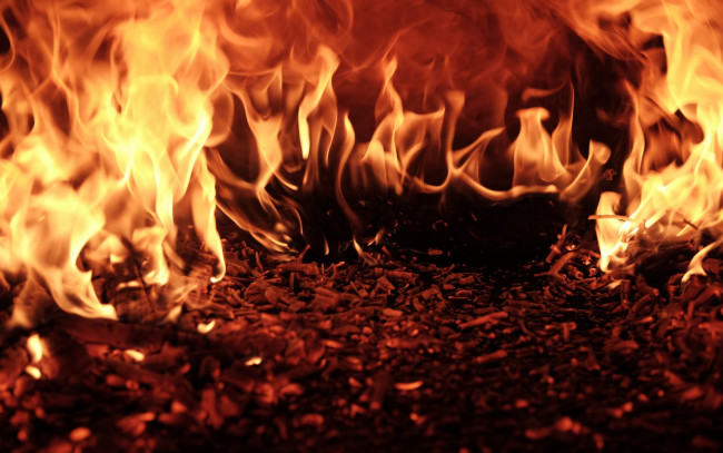 Обои картинки фото природа, огонь, пламя