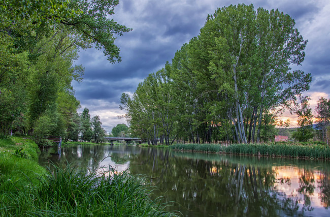 Обои картинки фото природа, реки, озера, лес, река