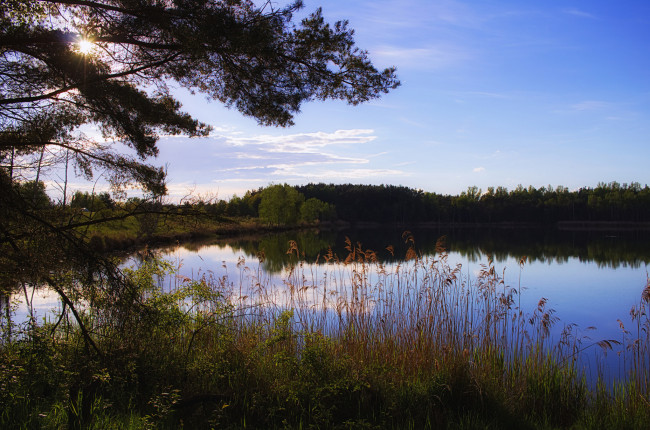 Обои картинки фото природа, реки, озера, река, лес