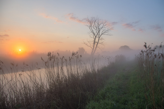 Обои картинки фото природа, восходы, закаты, рассвет