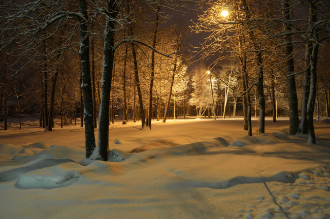 Обои картинки фото природа, зима, снег