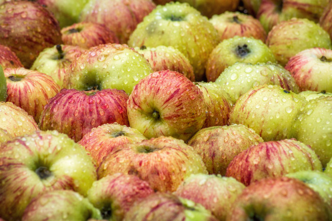 Обои картинки фото еда, Яблоки, плоды