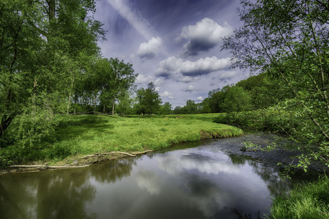 Обои картинки фото природа, реки, озера, лес, река