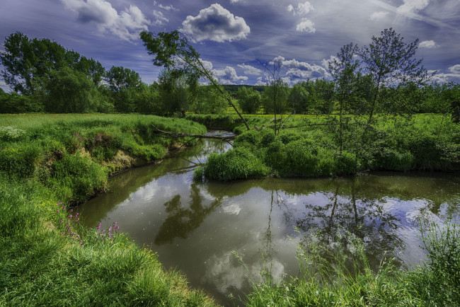 Обои картинки фото природа, реки, озера, река, лес