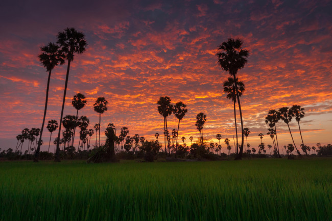 Обои картинки фото природа, тропики, курорт