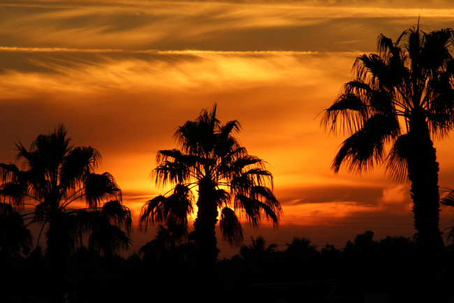 Обои картинки фото природа, тропики, курорт