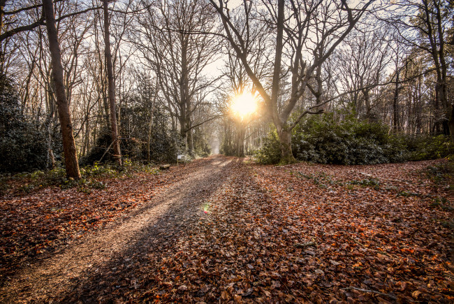 Обои картинки фото природа, дороги, простор