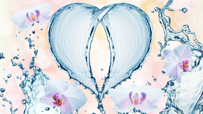 Обои картинки фото разное, компьютерный дизайн, орхидеи