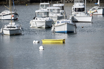 обоя корабли, разные вместе, катера, яхты