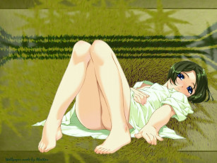 Картинка аниме *unknown другое