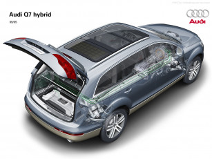 Картинка автомобили рентген