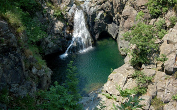 Картинка природа