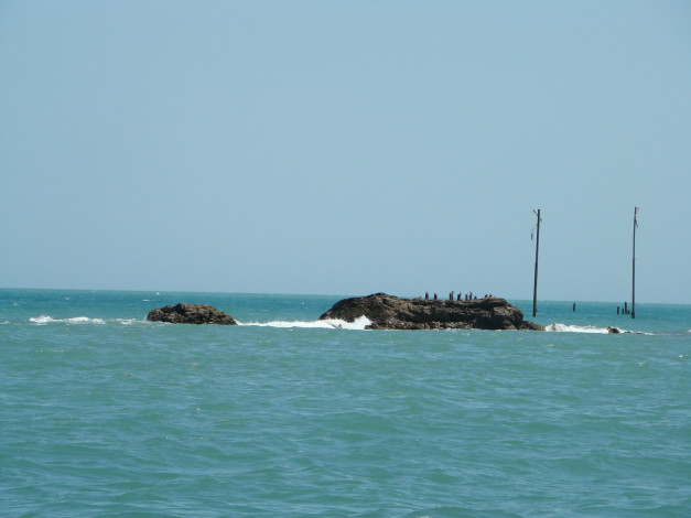 Обои картинки фото 