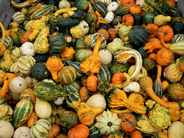 Обои картинки фото еда, овощи